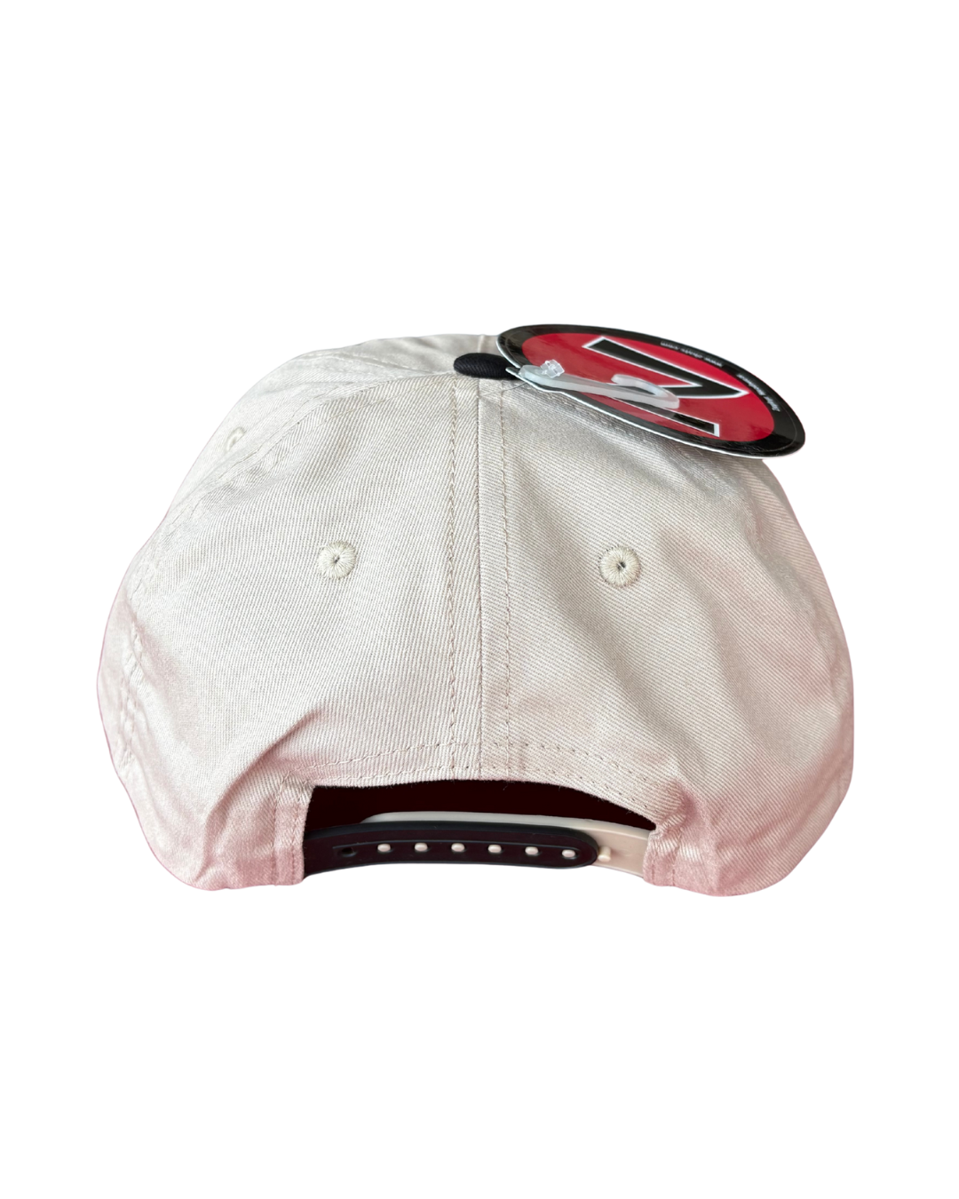 Craft Finale IceDogs Hat