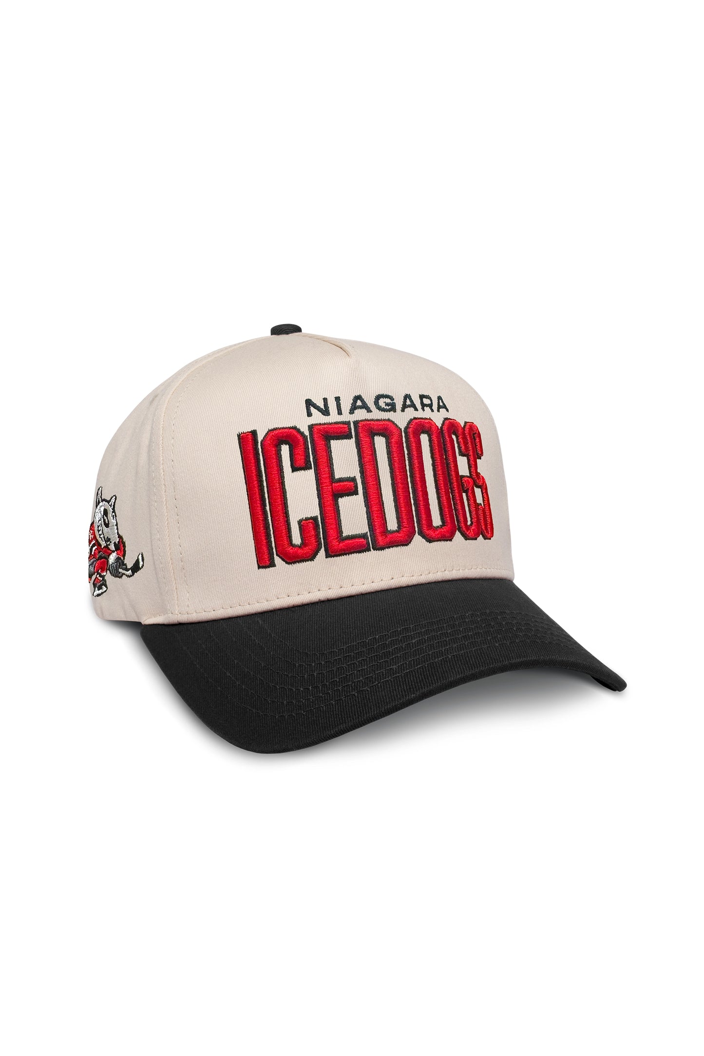 TEAMLTD IceDogs Hat
