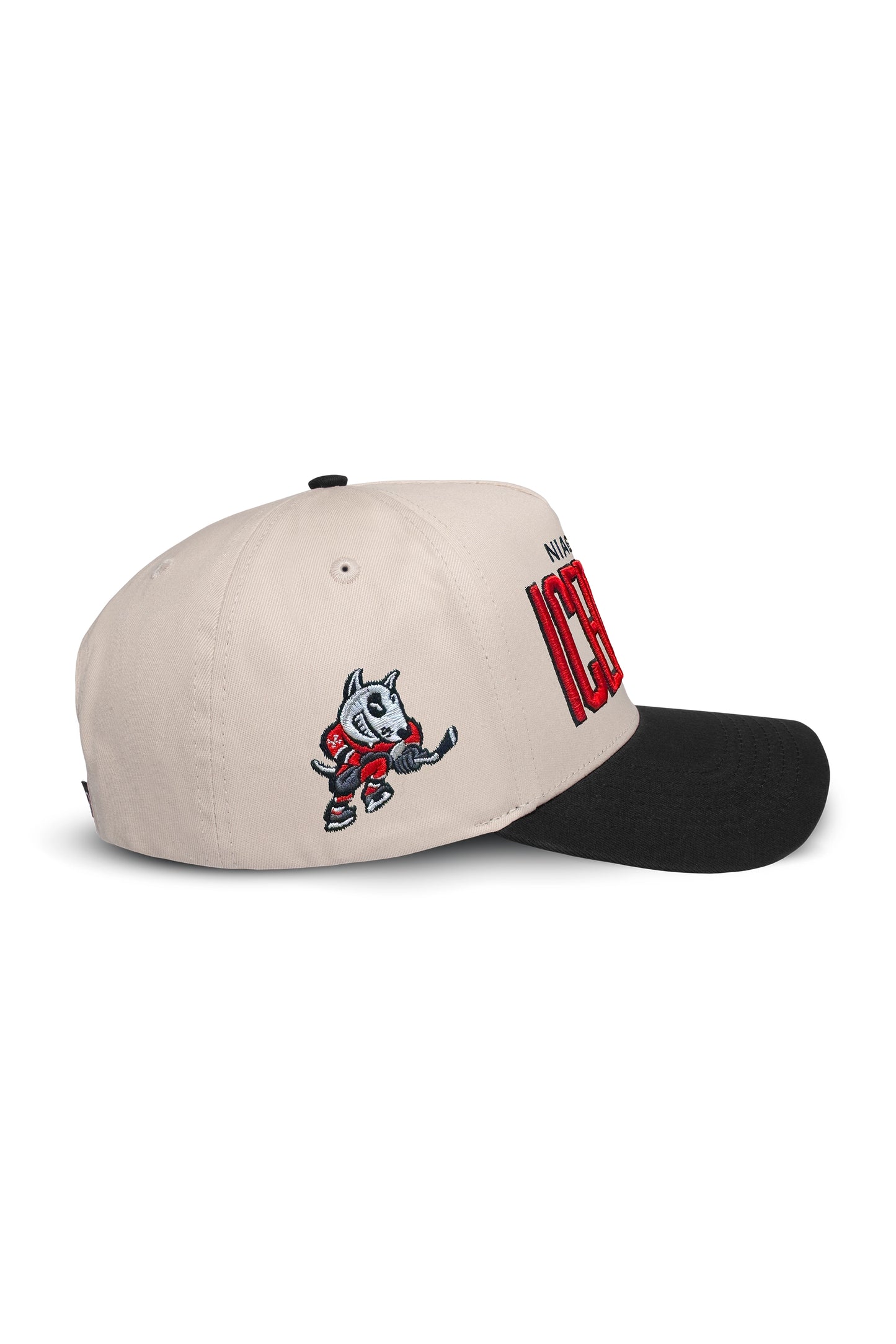 TEAMLTD IceDogs Hat