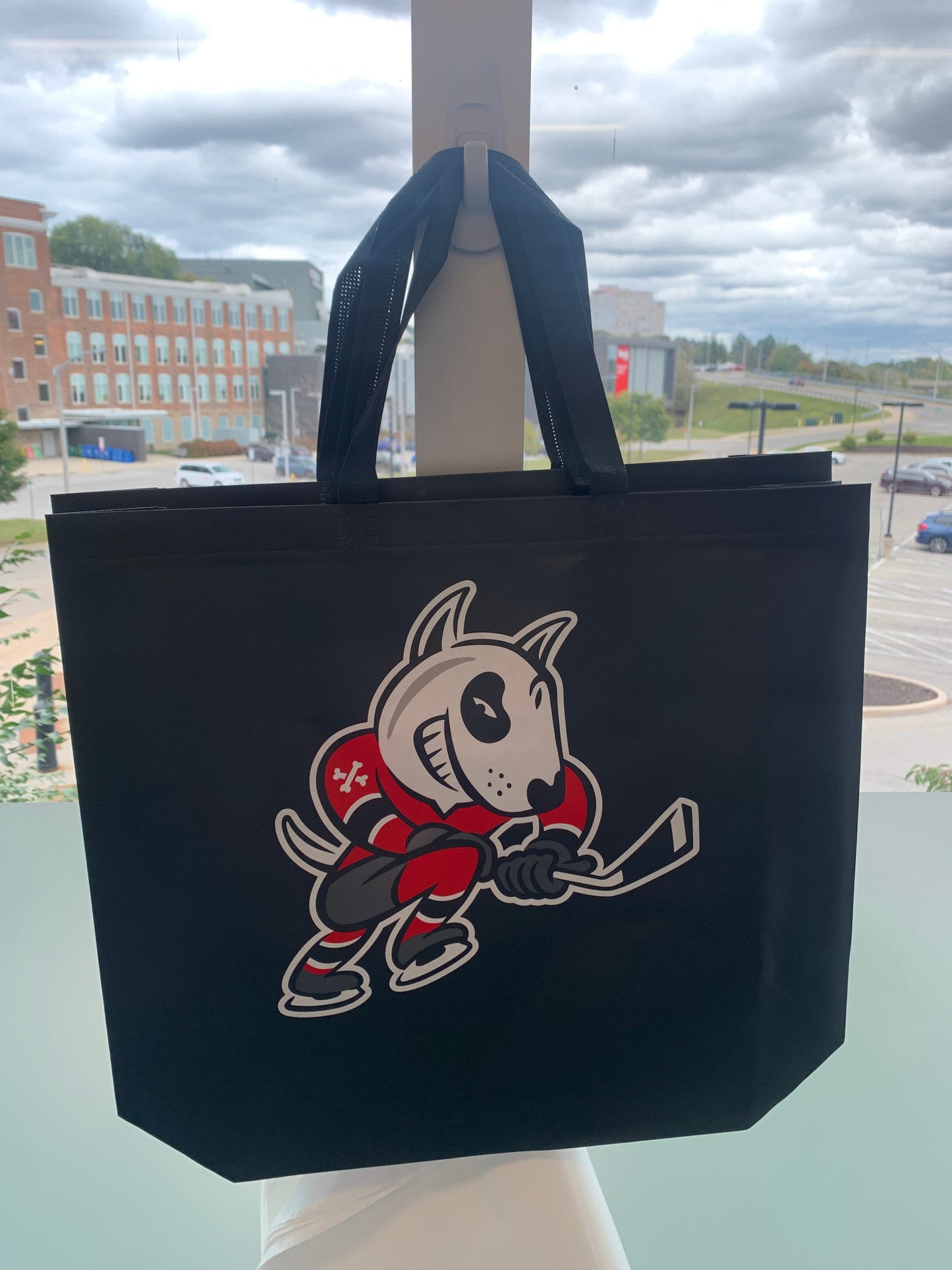 IceDogs Reusable Bag