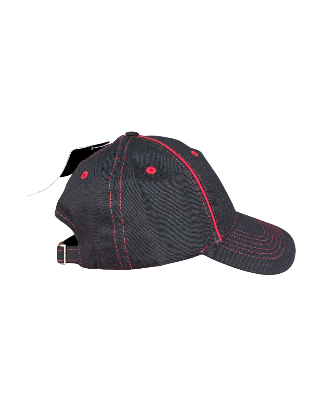 IceDogs Logo Hat