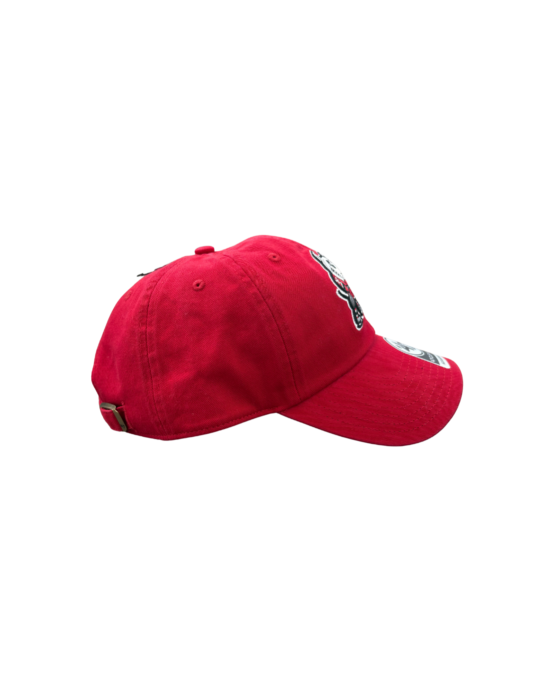 IceDogs Clean Up Cap
