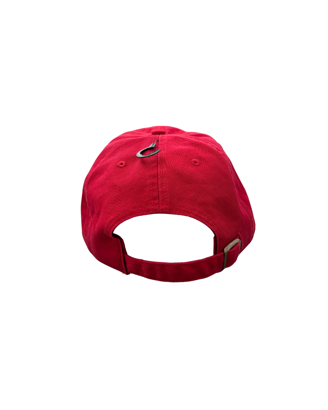 IceDogs Clean Up Cap