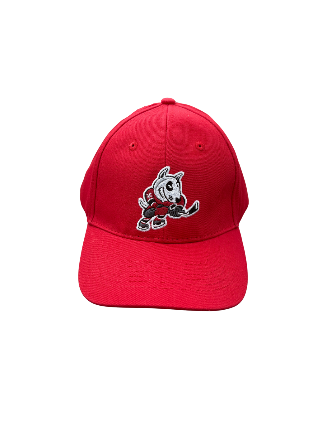 Youth Baseball Cap