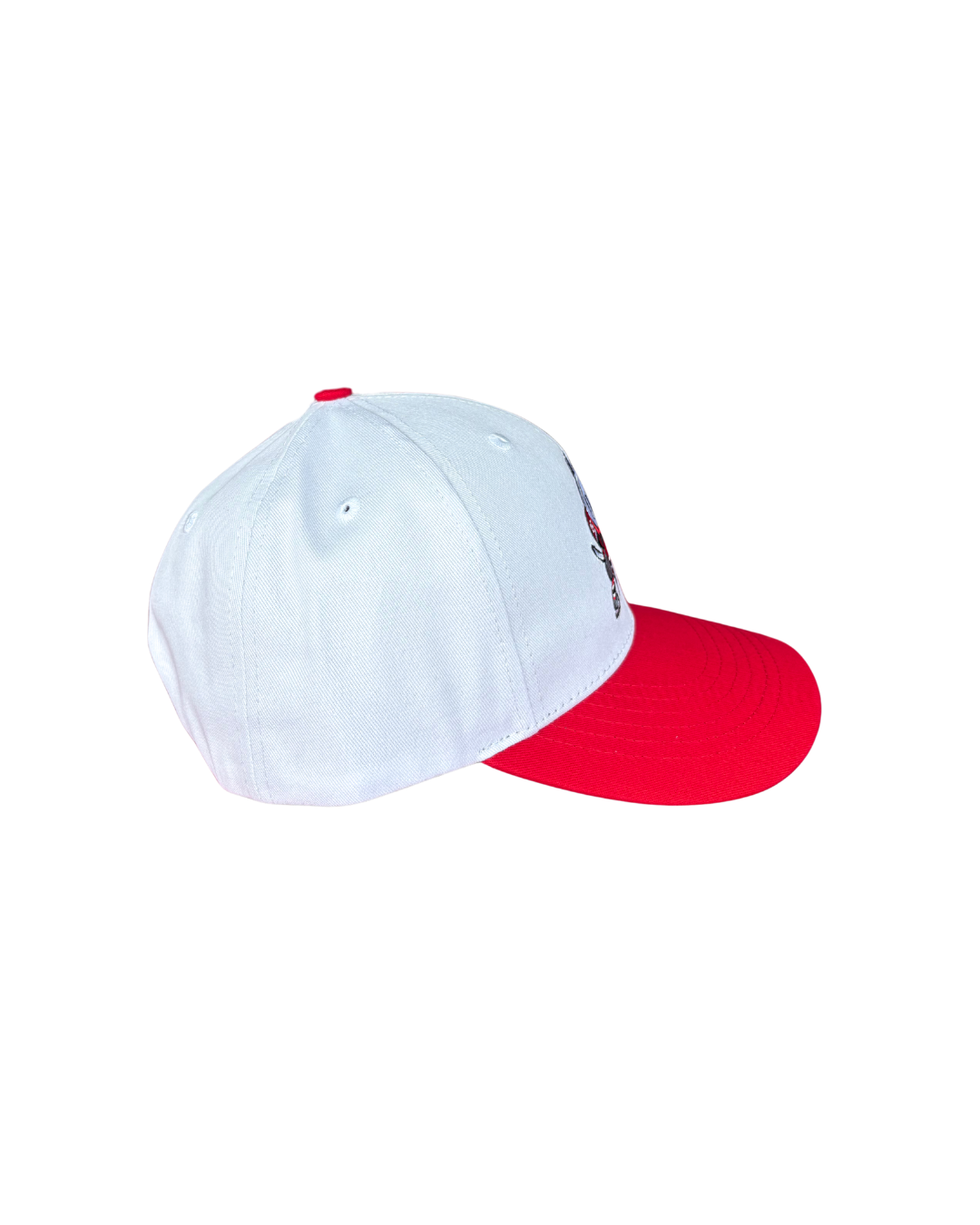 IceDogs Logo Snap Back Hat