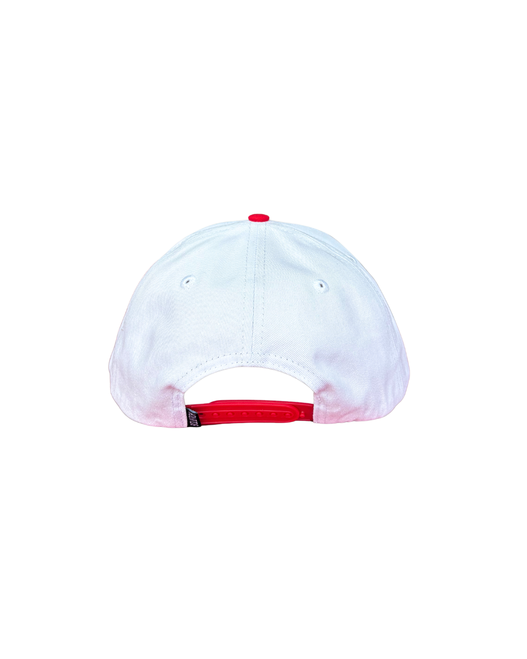IceDogs Logo Snap Back Hat