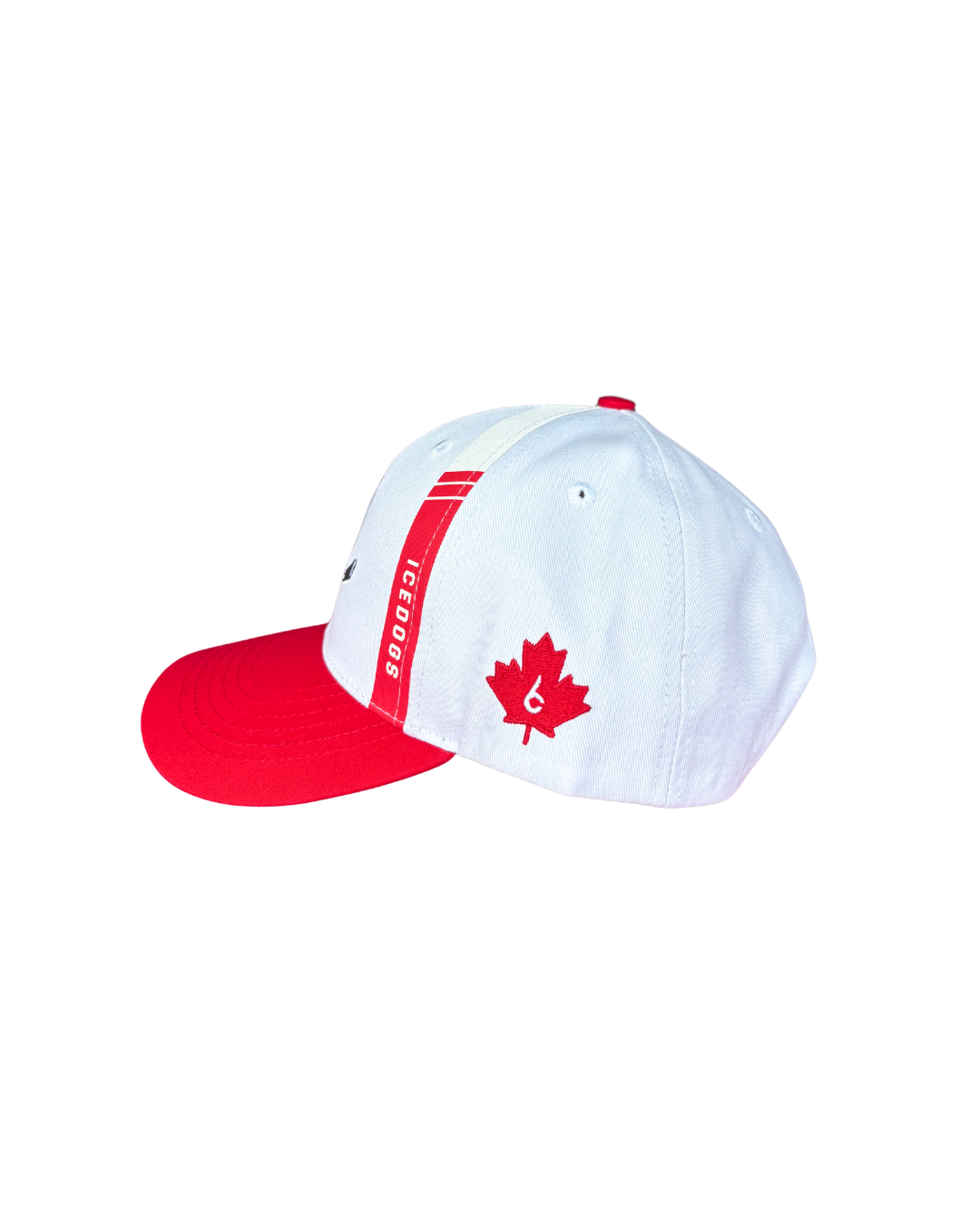 IceDogs Logo Snap Back Hat