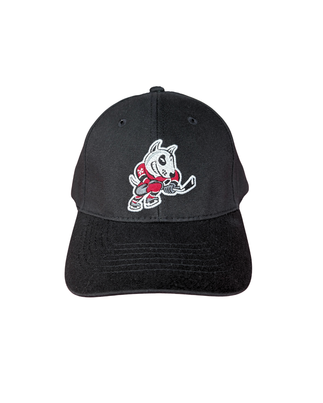 Youth Baseball Cap