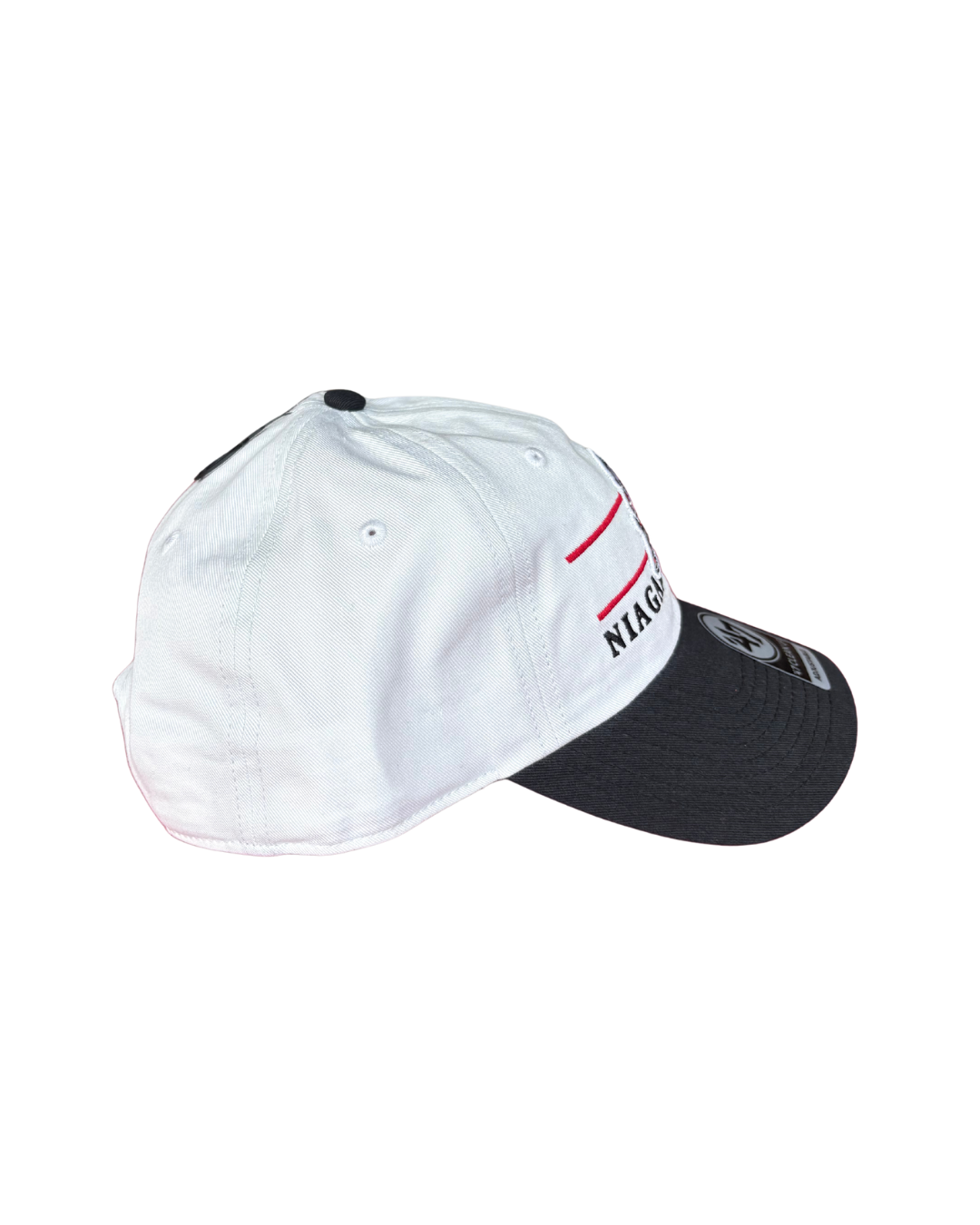 IceDogs Clean Up Cap