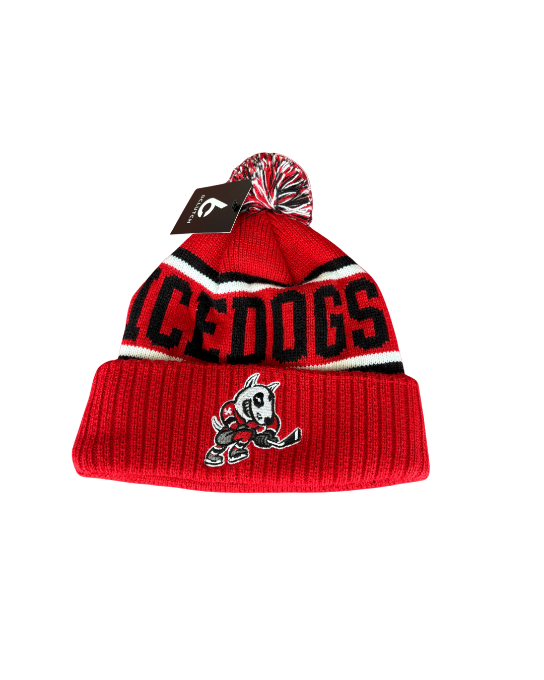 Adult Pom-Pom Toque