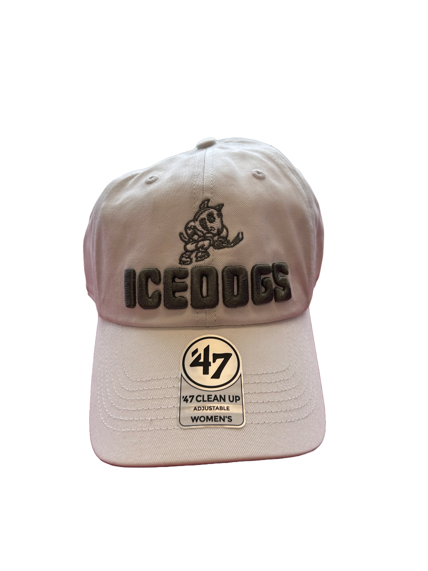 '47 Brand Women's Luminance Cap
