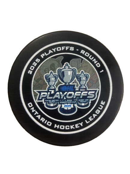 2024-2025 Playoff Pucks