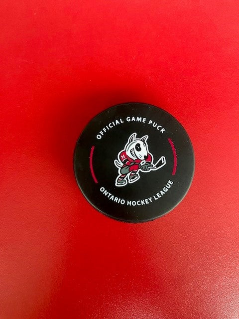 *NEW* IceDogs Game Puck