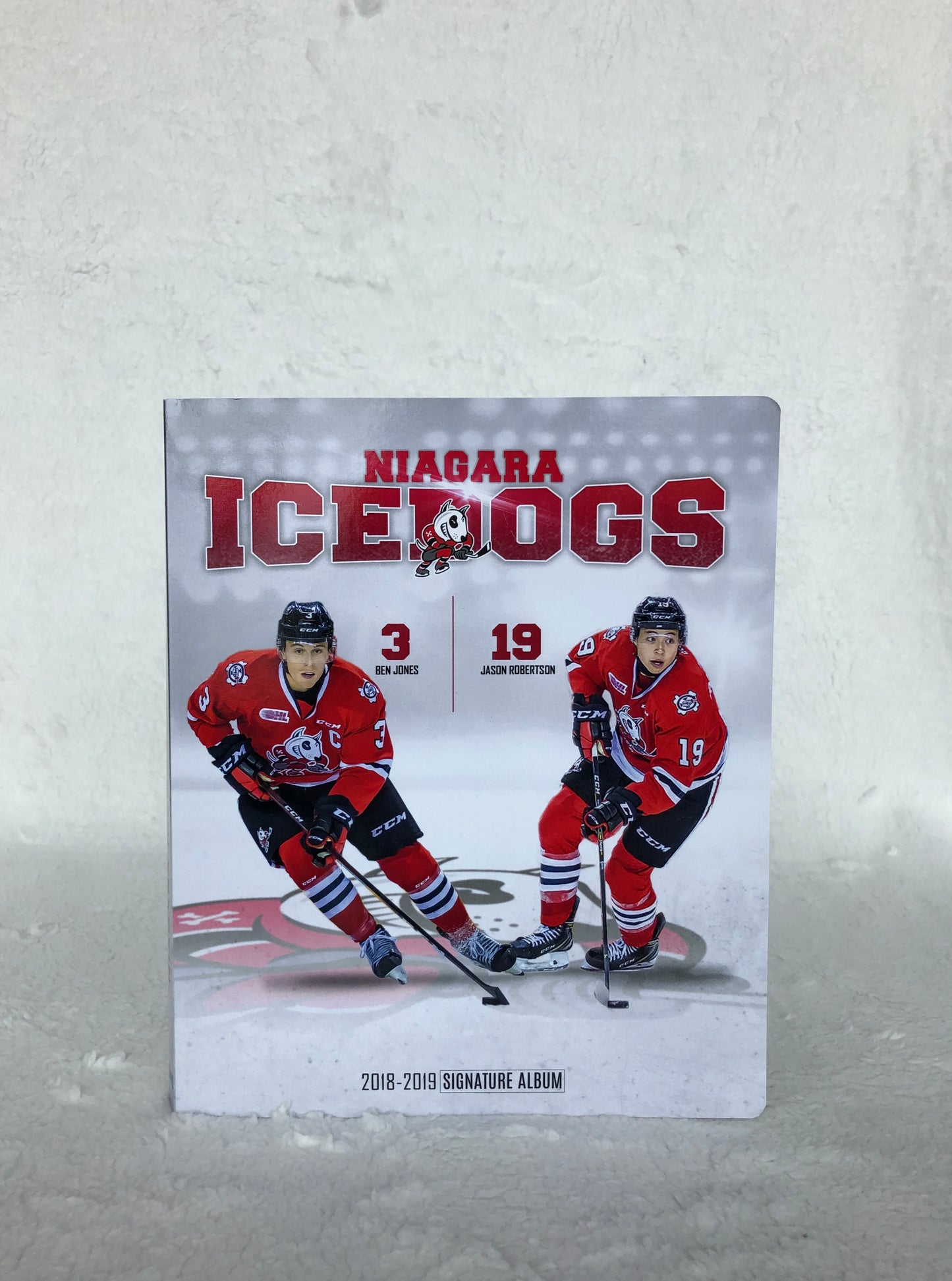 Signature Album with Signed Player Cards