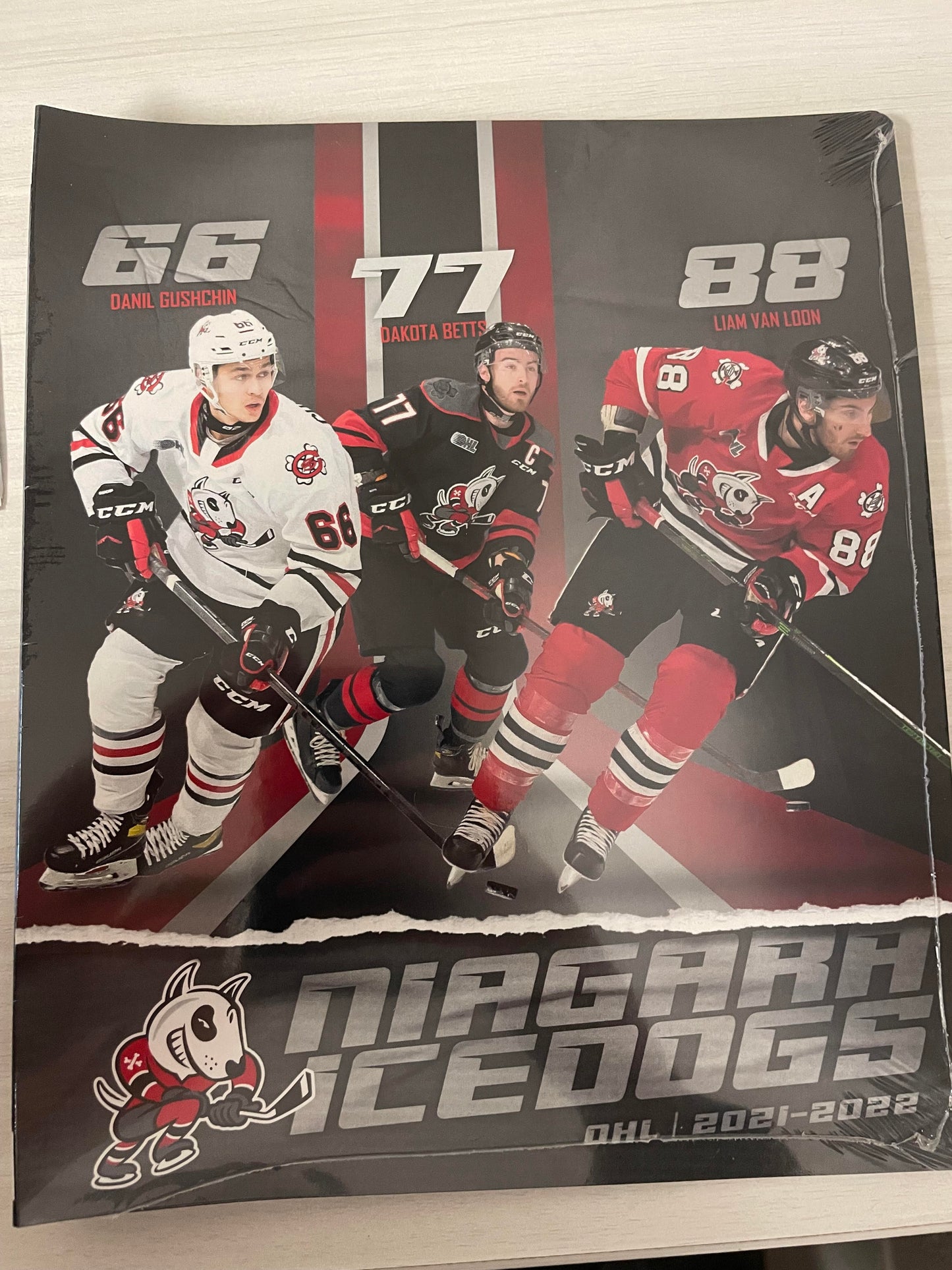 Signature Album with Signed Player Cards