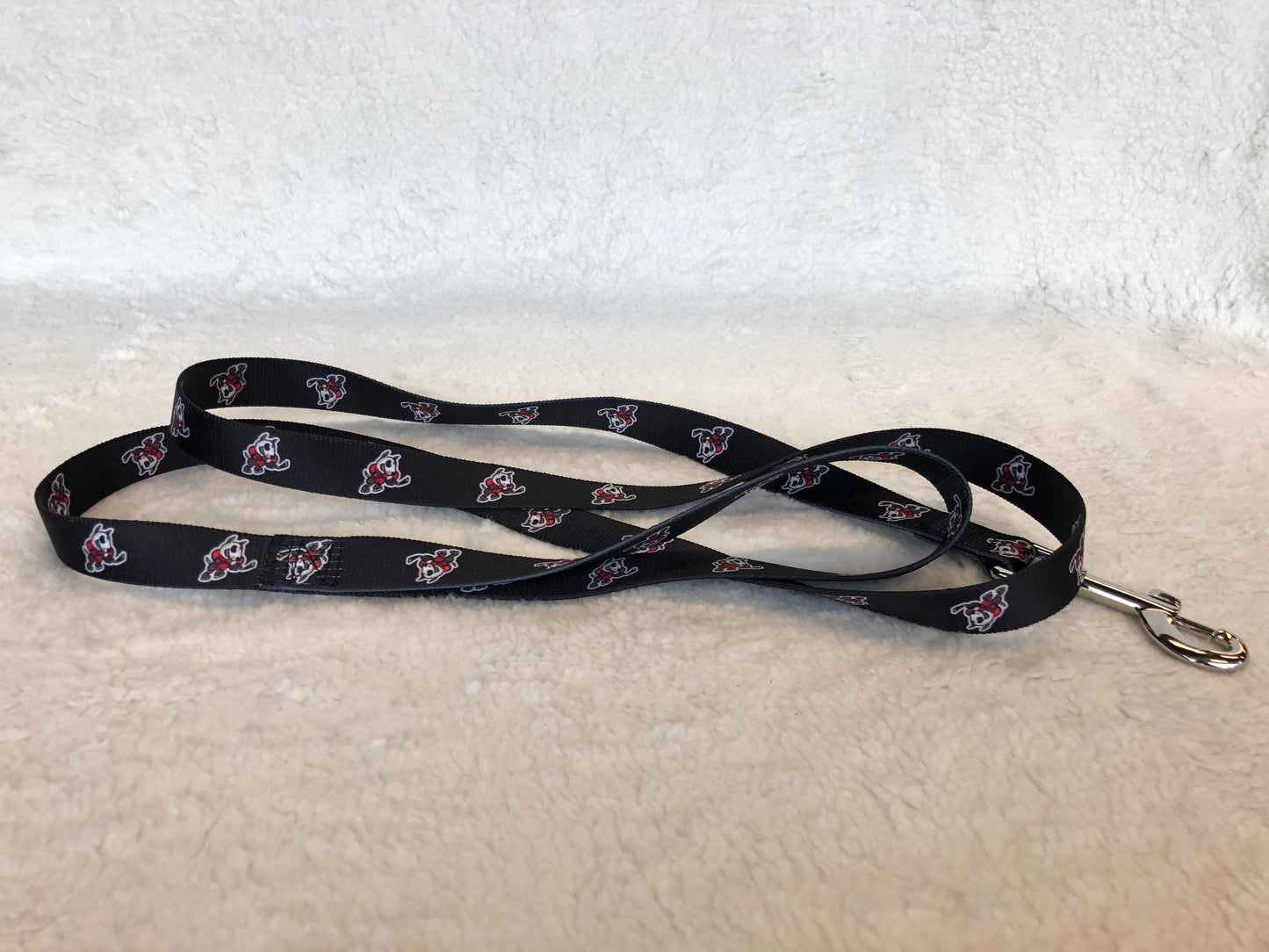 Pet Leash