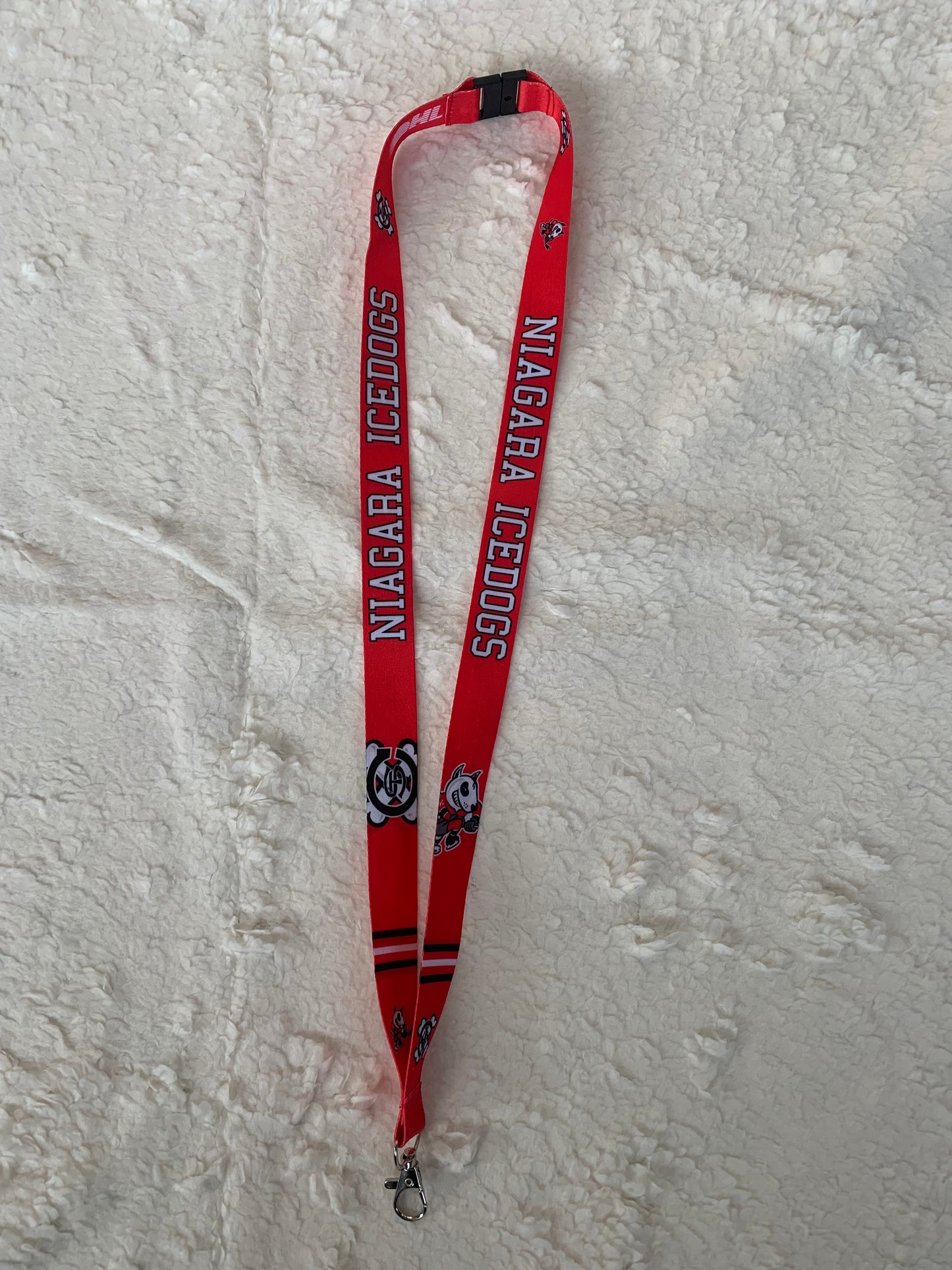 Lanyard
