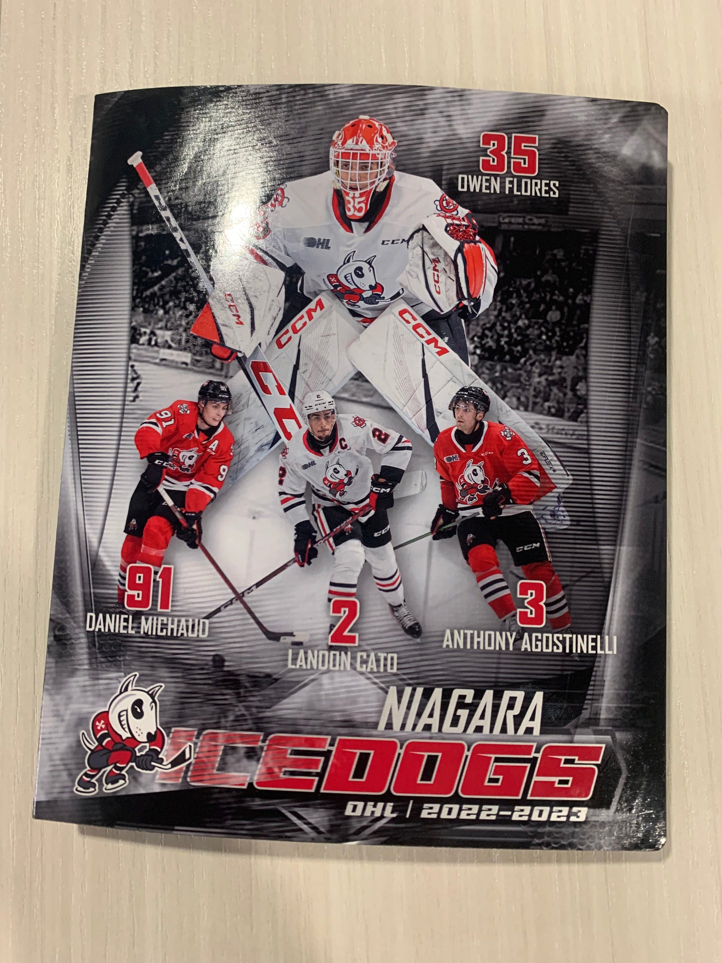 Signature Album with Signed Player Cards