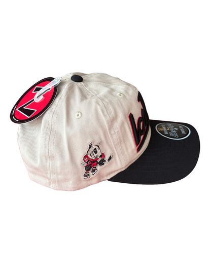 Craft Finale IceDogs Hat
