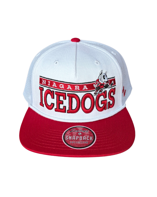 Steely Snapback Hat