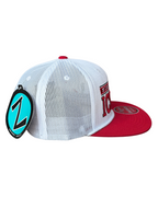 Steely Snapback Hat