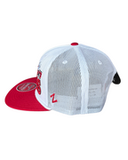 Steely Snapback Hat