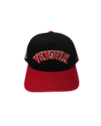 Niagara Curved Snapback
