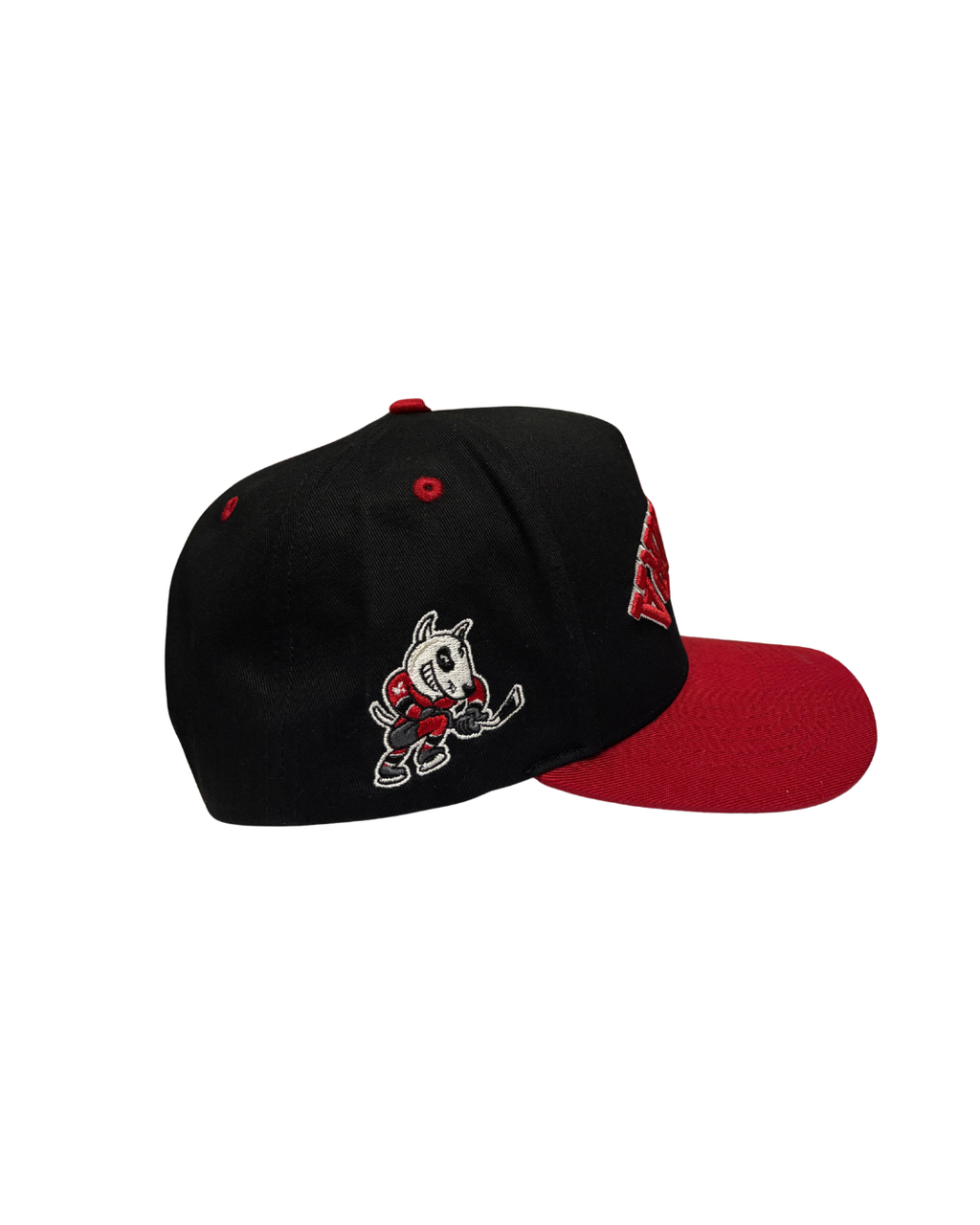 Niagara Curved Snapback