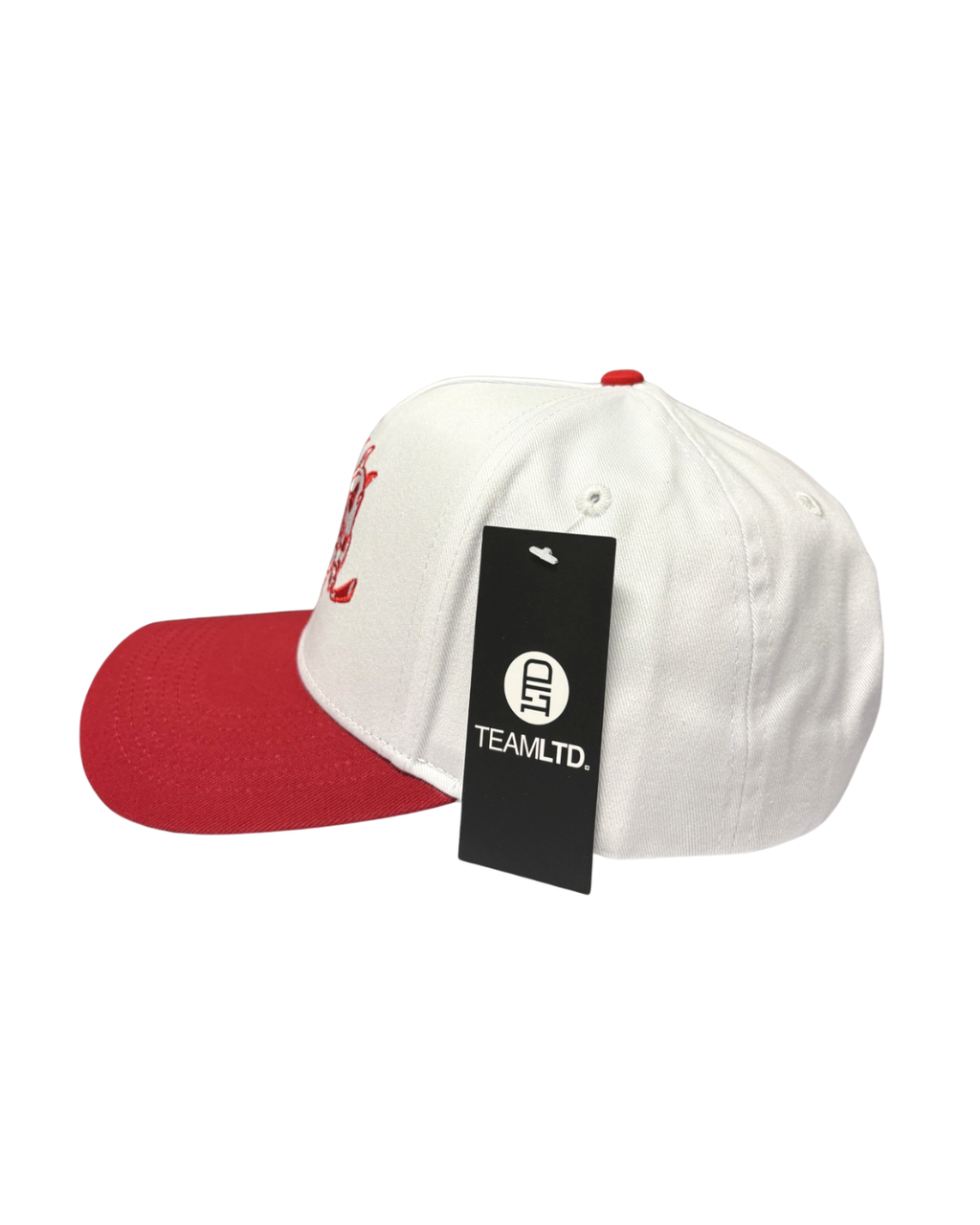 Breakout Snapback