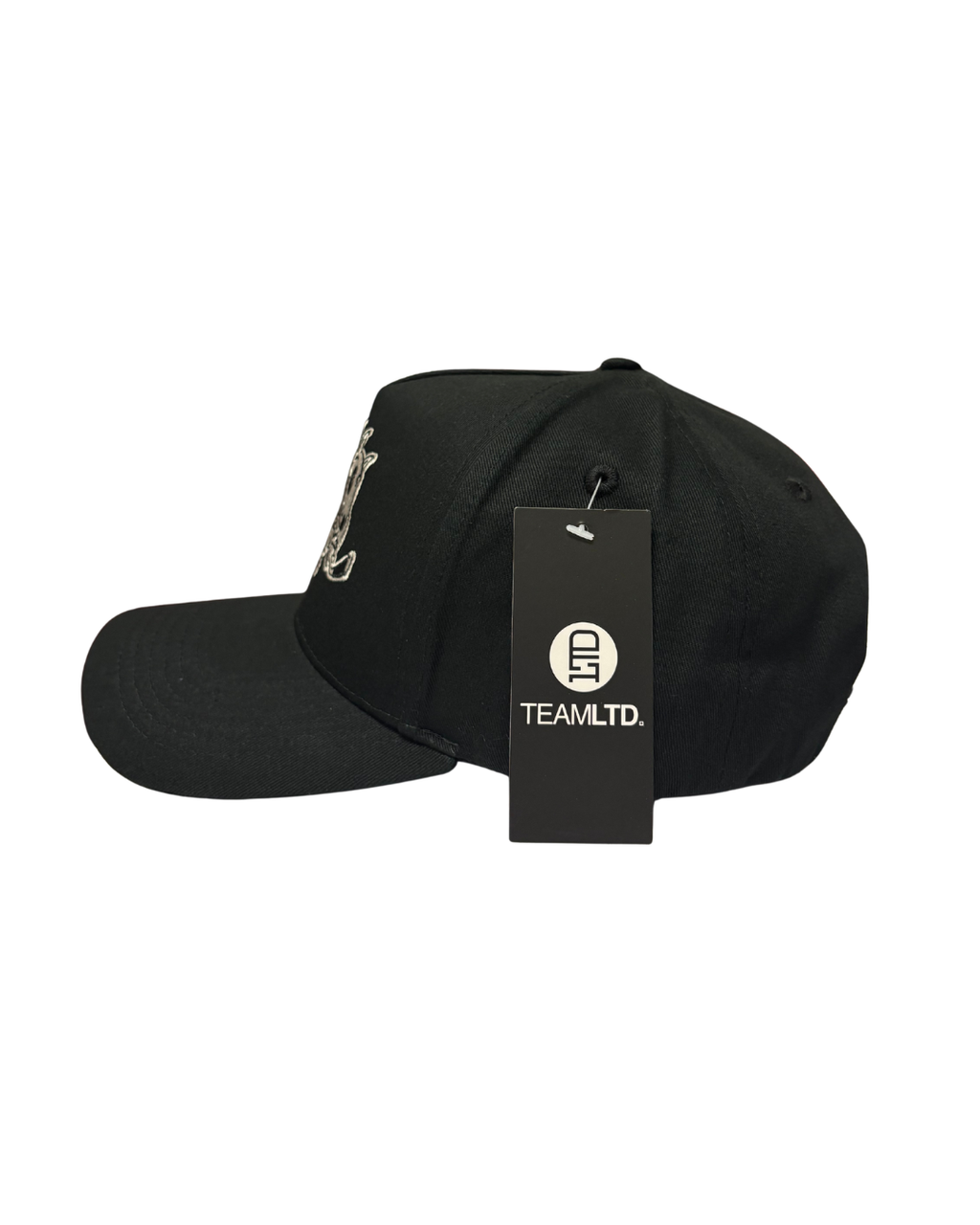 Breakout Snapback