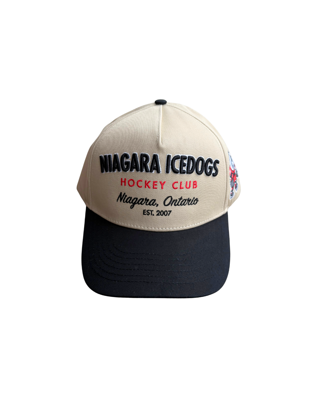 Essential Snapback