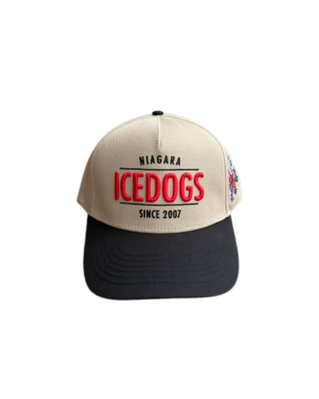 "Since 2007" Snapback