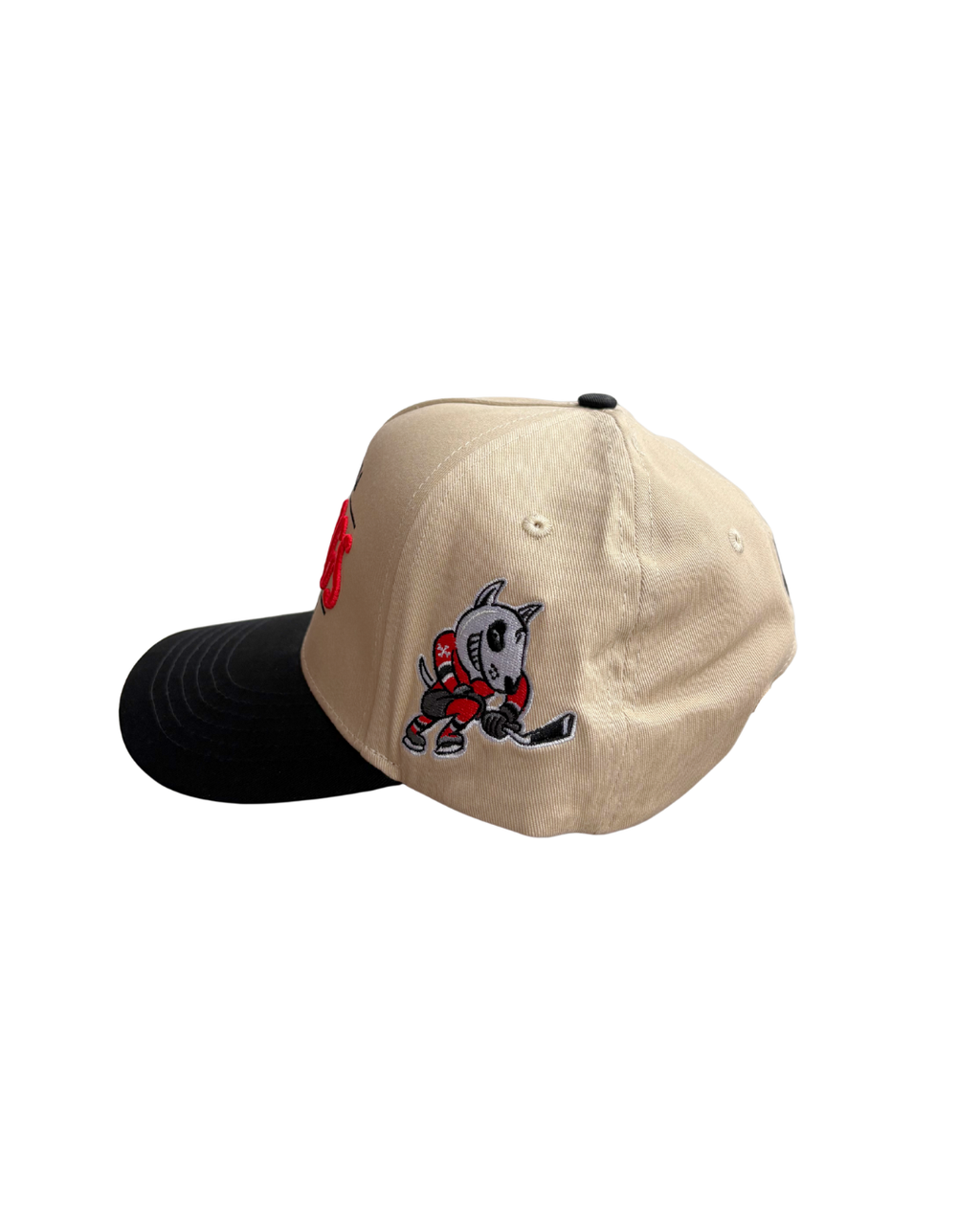 "Since 2007" Snapback