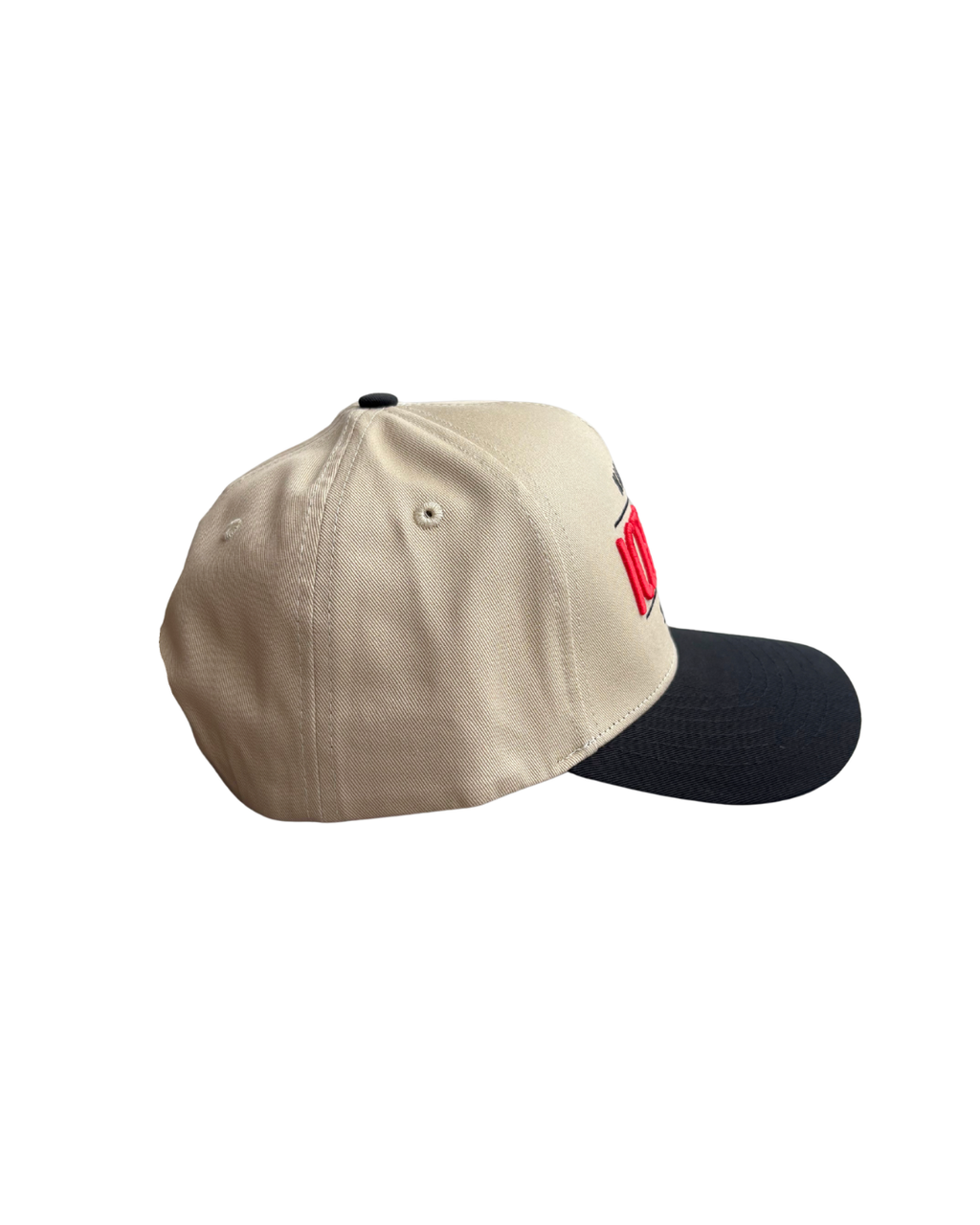 "Since 2007" Snapback