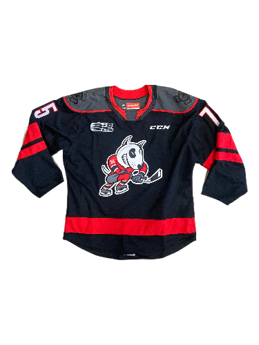 Niagara icedogs jersey sales