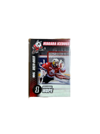 Player Cards