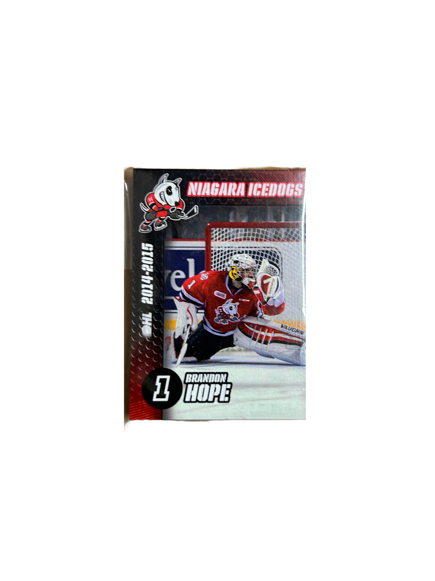 Player Cards