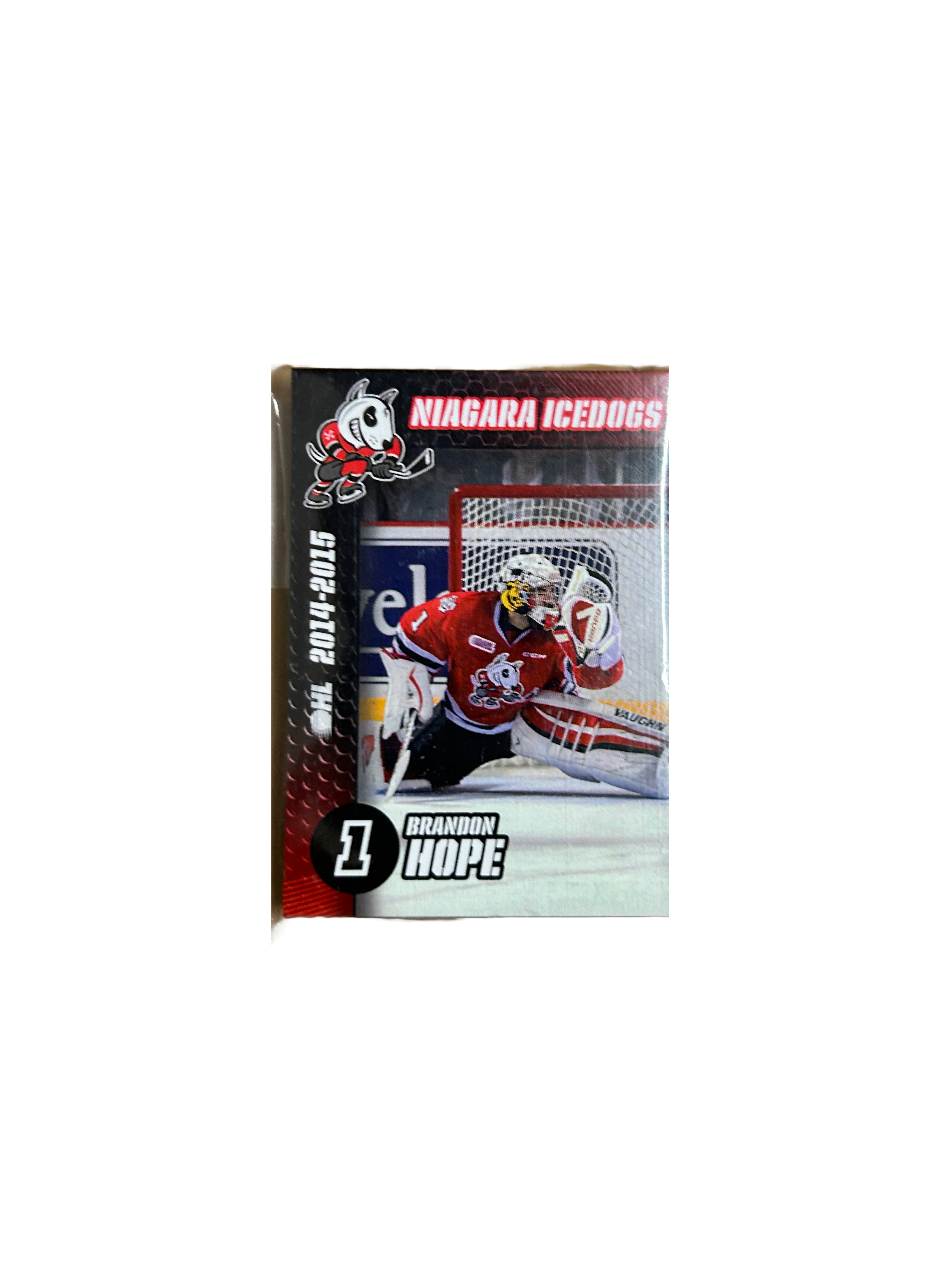 Player Cards
