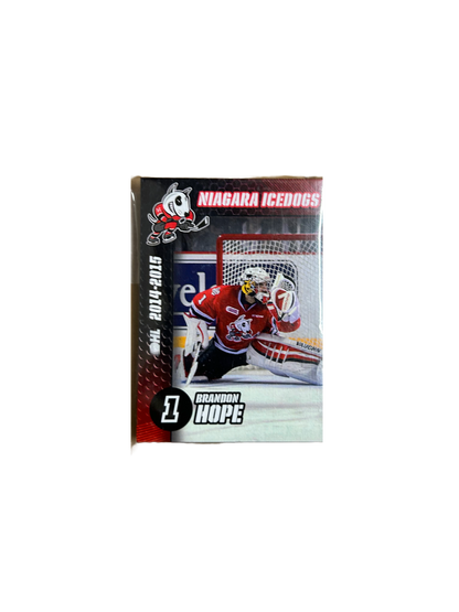 Player Cards