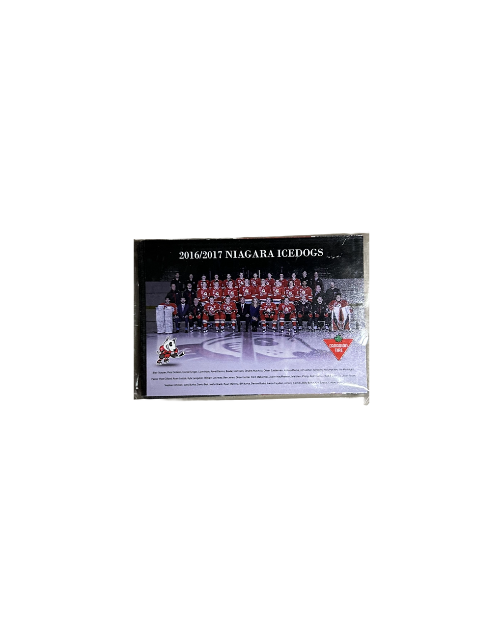 Player Cards
