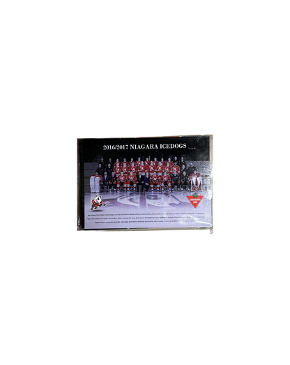 Player Cards