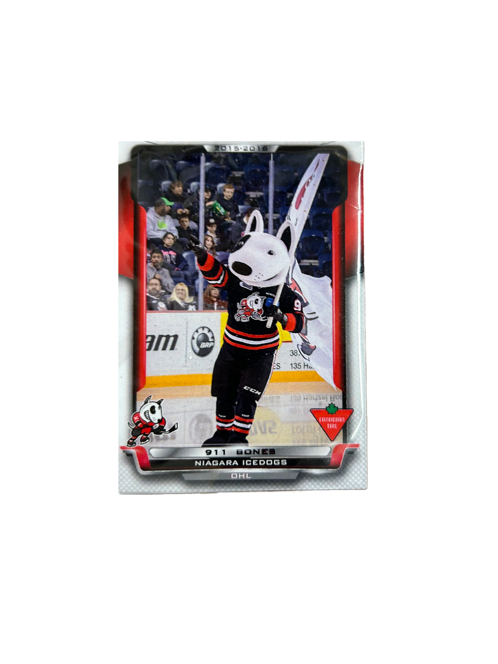 Player Cards