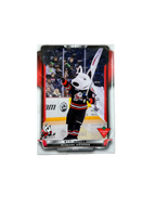 Player Cards