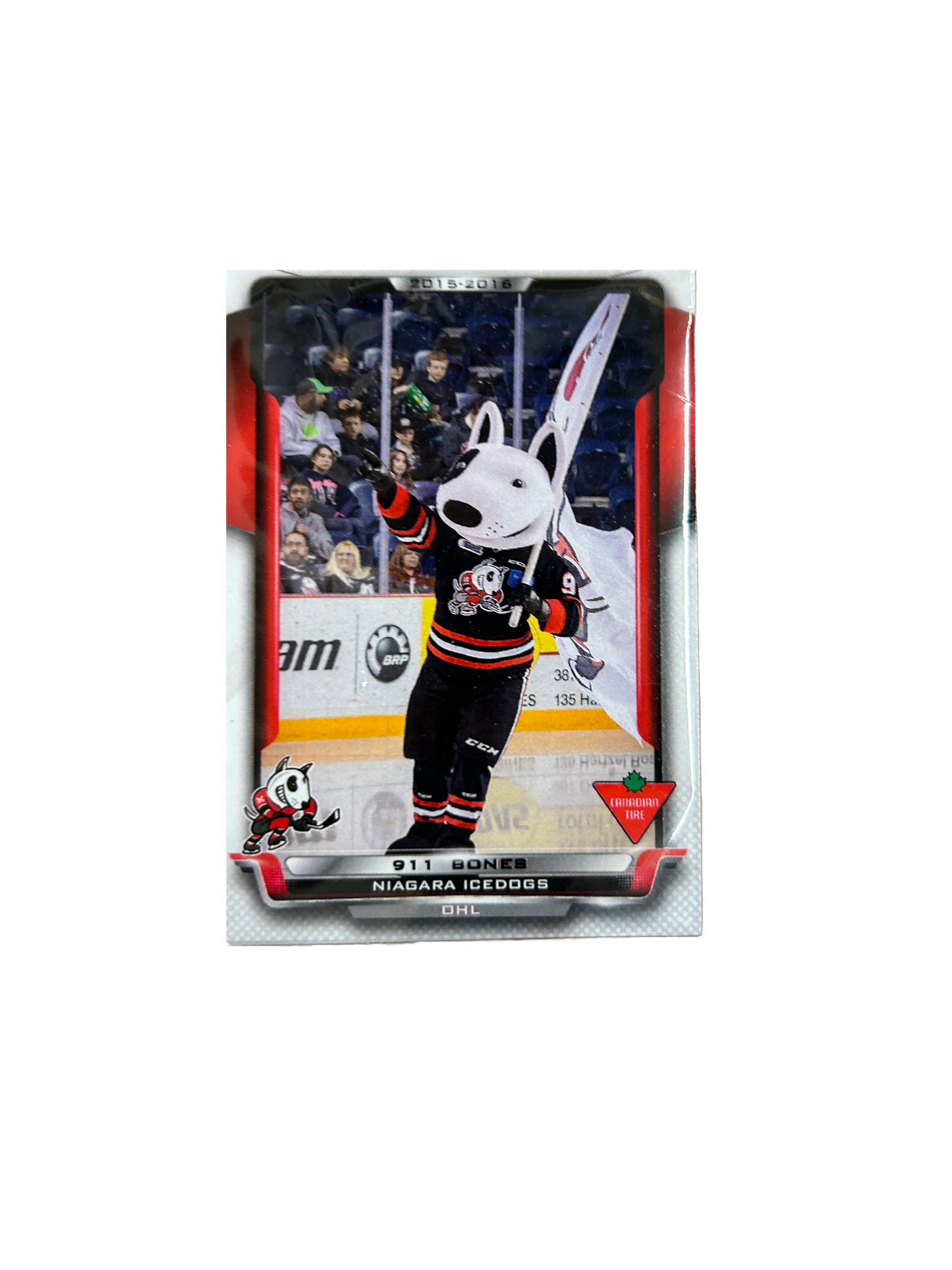 Player Cards