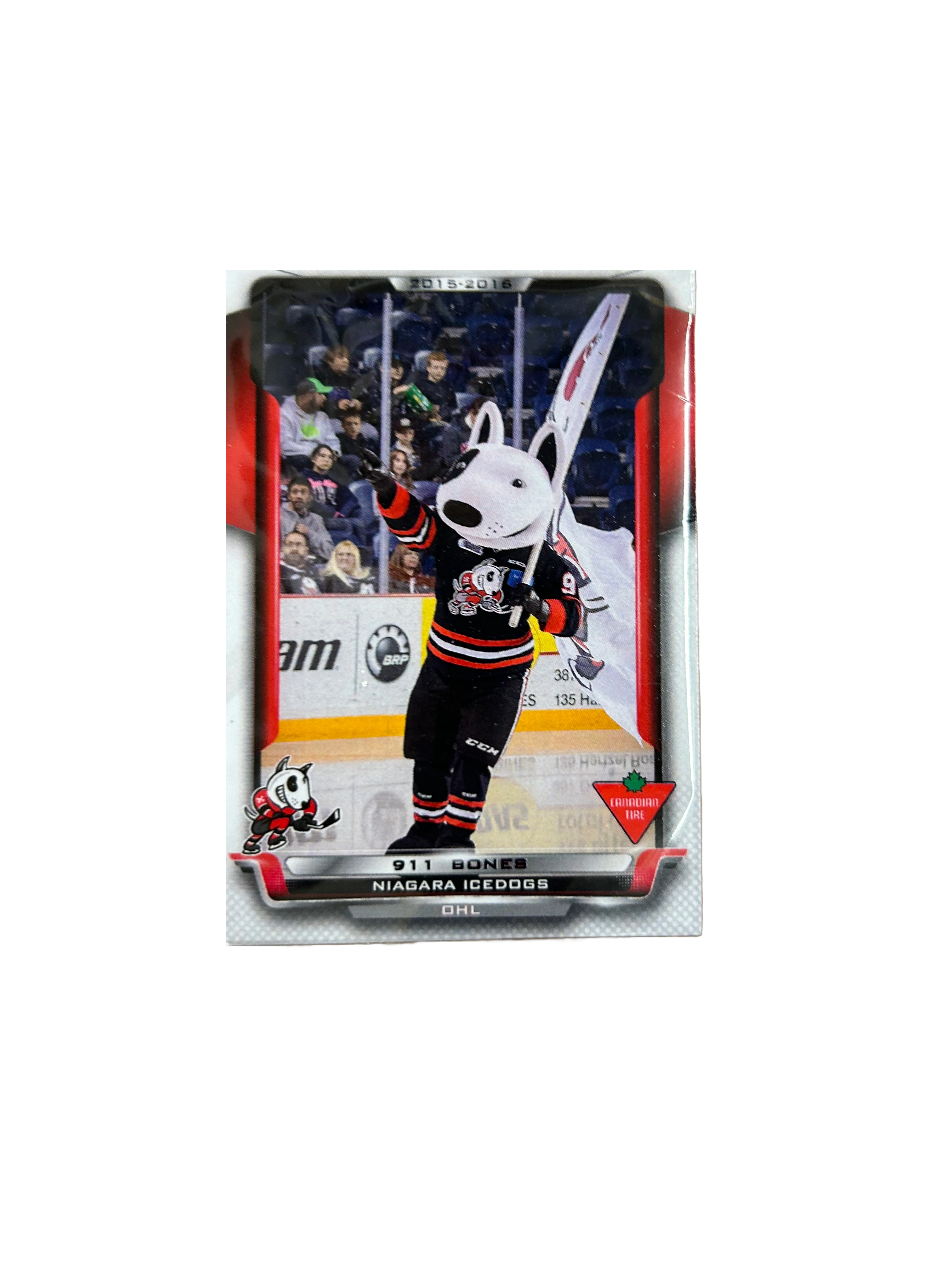 Player Cards