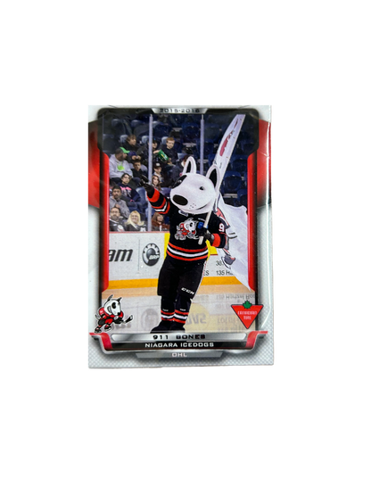 Player Cards