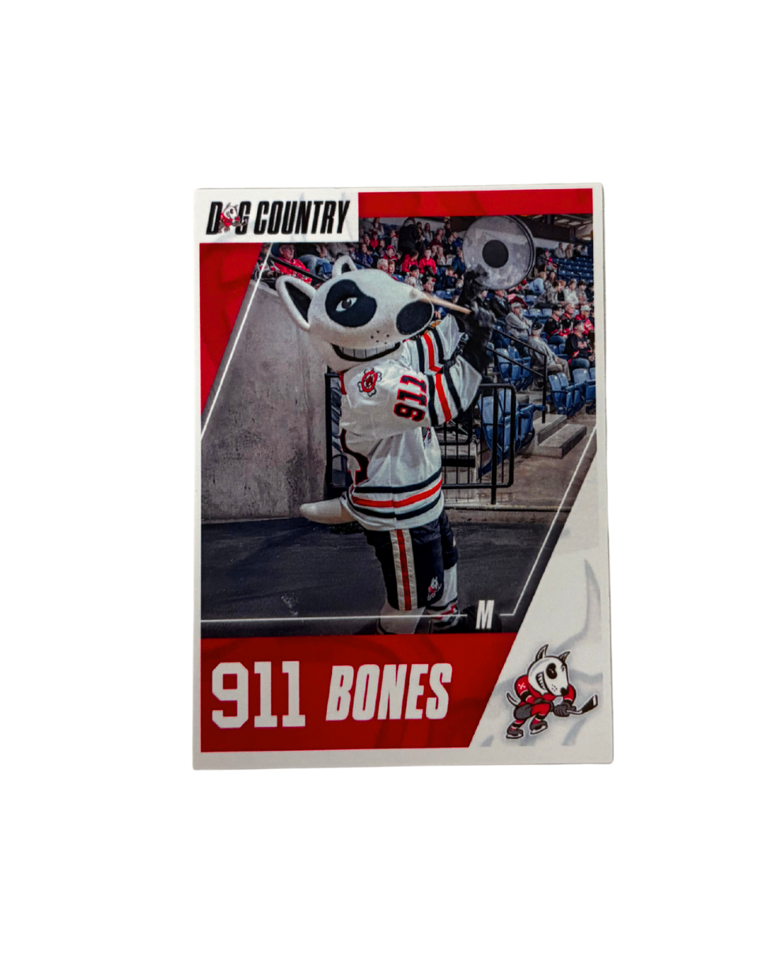 2025/2026 Player Cards