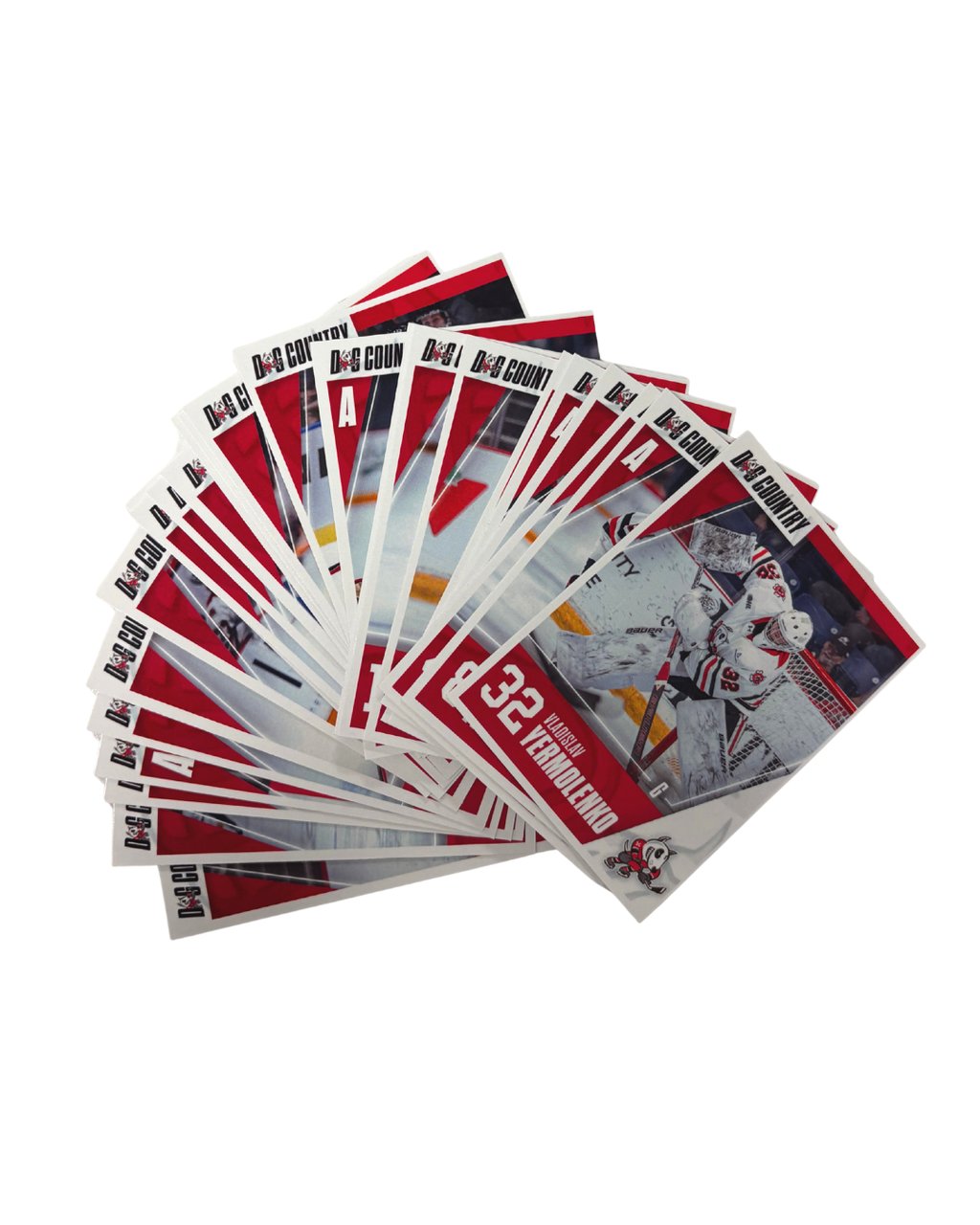 2025/2026 Player Cards