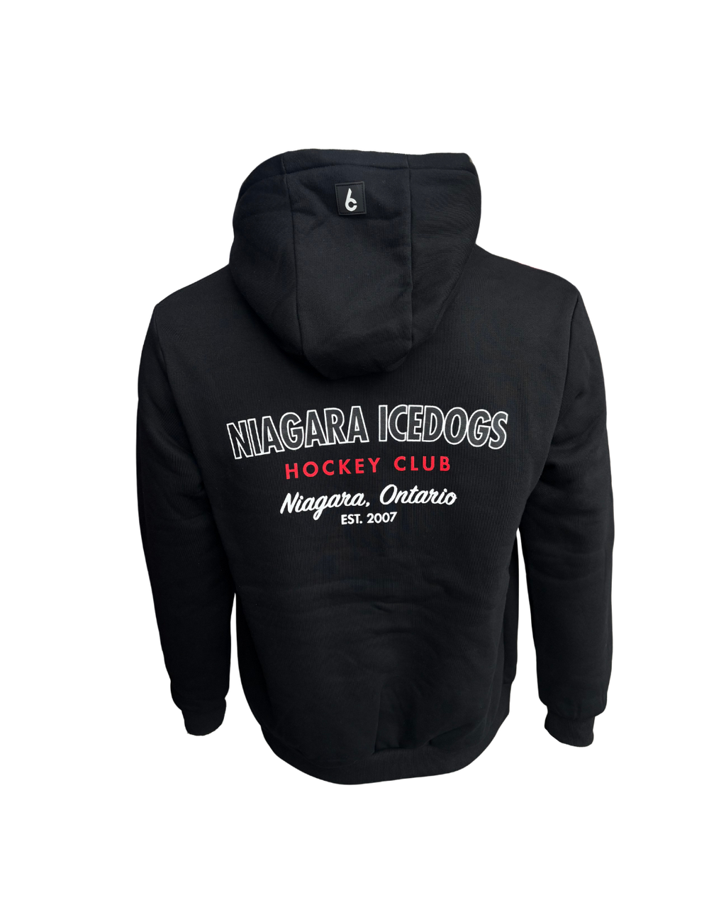 Essential Hoodie