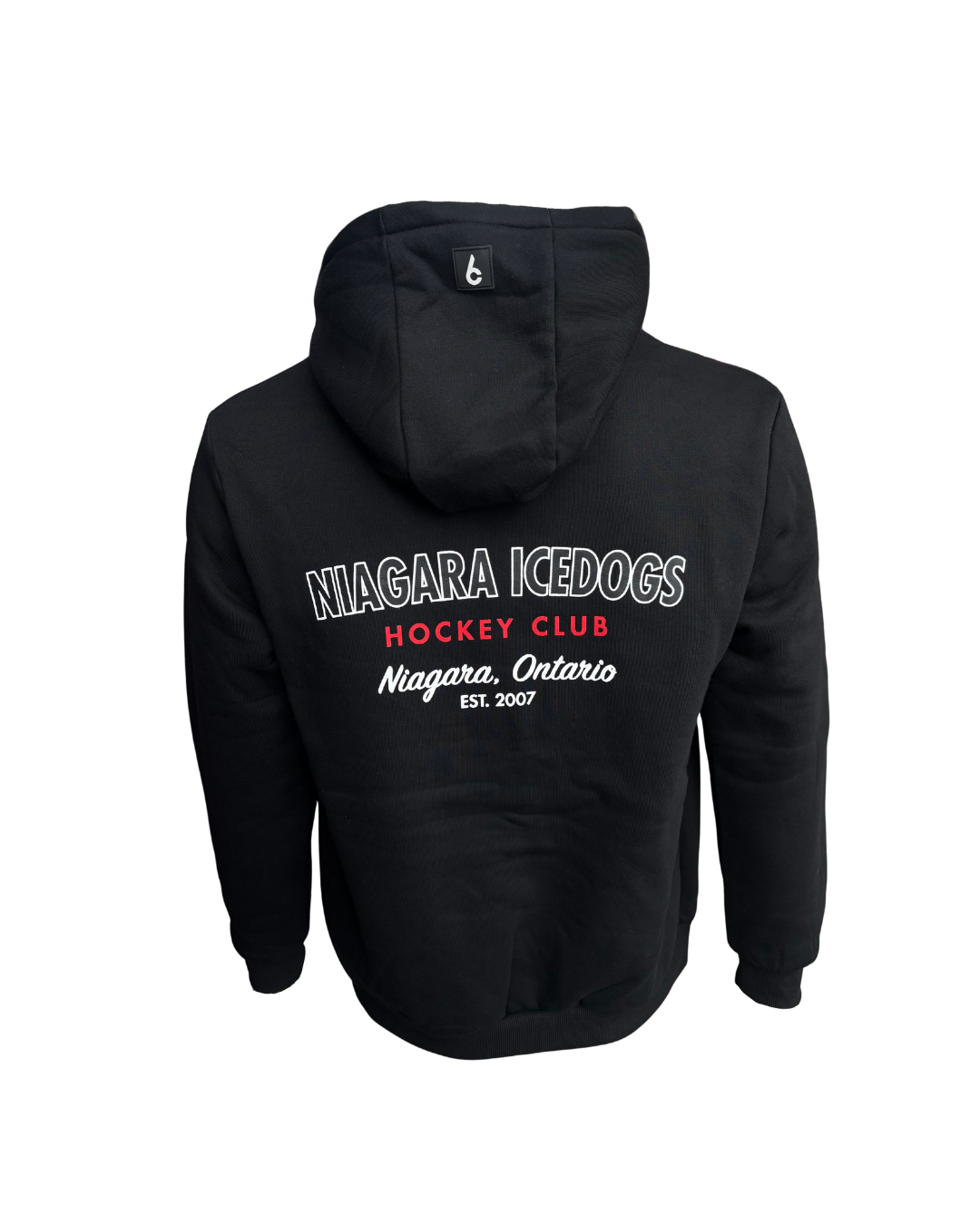 Essential Hoodie